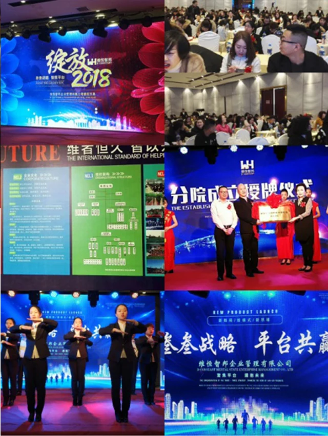 三三战略 平台共赢 绽放2018