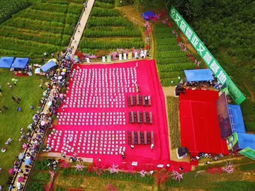 中康联合减肥医学研究院艾蒿应用研究中心——首届中国艾蒿产业大会