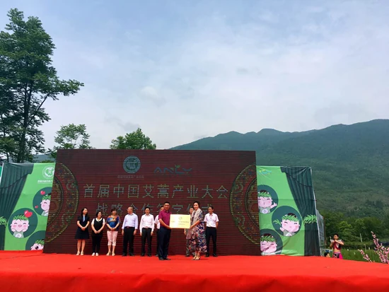中康联合减肥医学研究院艾蒿应用研究中心——首届中国艾蒿产业大会