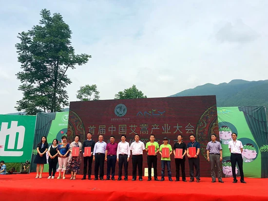 中康联合减肥医学研究院艾蒿应用研究中心——首届中国艾蒿产业大会