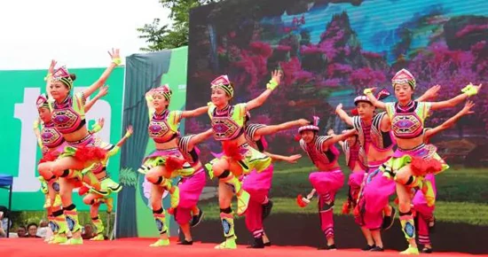 中康联合减肥医学研究院艾蒿应用研究中心——首届中国艾蒿产业大会