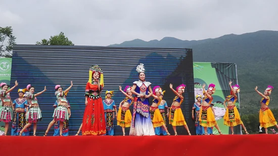 中康联合减肥医学研究院艾蒿应用研究中心——首届中国艾蒿产业大会