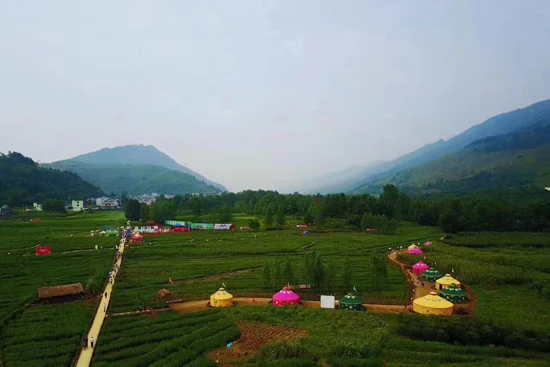 中康联合减肥医学研究院艾蒿应用研究中心——首届中国艾蒿产业大会