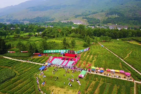中康联合减肥医学研究院艾蒿应用研究中心——首届中国艾蒿产业大会