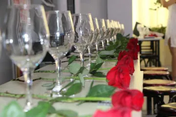中康联合减肥医学研究院康奇益功能性服装研究中心“旗袍&红酒”答谢会