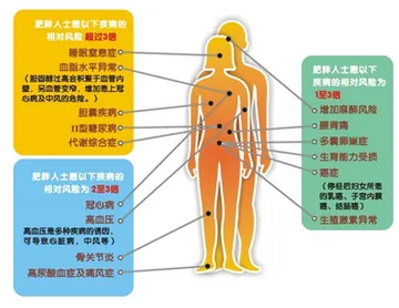 中康联合减肥医学研究院新闻发布会